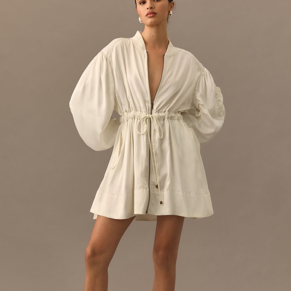Anthropologie Dress NWT